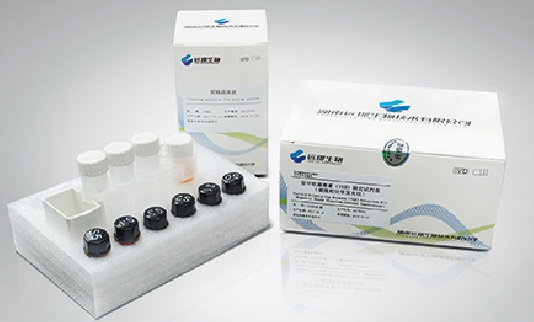 RangeCL系列项目测试菜单